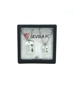 CONJUNTO OFICIAL PLACAS ACERO GRANDE Y PEQUEÑA SFC