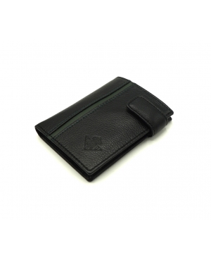 CARTERA BETIS  / BET011273