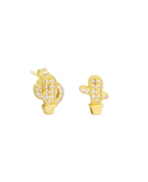 PENDIENTES CACTUS PLATA CHAPADA / JMD108244